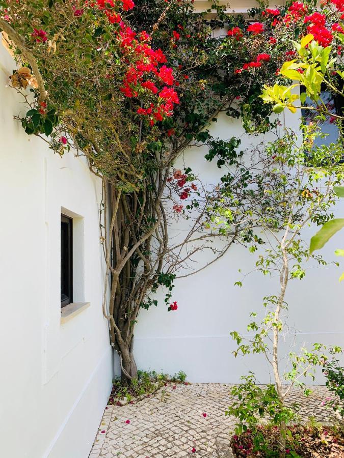 Dona Maria 66 Villa Luz Kültér fotó
